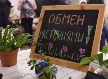 В Челябинске устроят благотворительную цветочную акцию: можно обменяться растениями и помочь детям с онкологией
